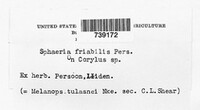 Sphaeria friabilis image